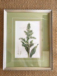 LCA Framed Artwork - Green Floral