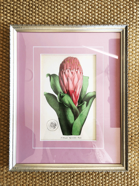LCA Framed Artwork- Pink Floral
